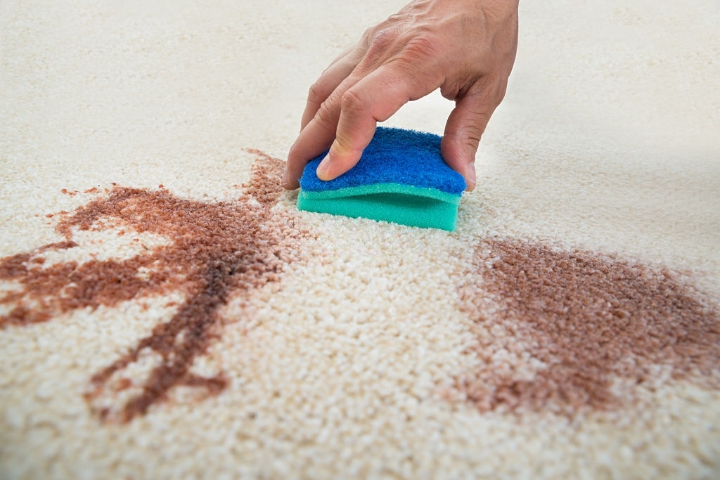 keller carpet stain removal
